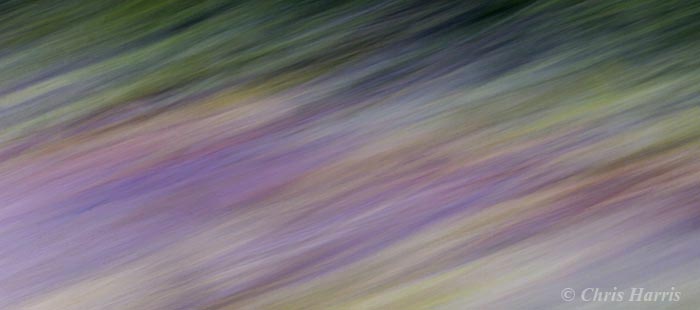 Canada, British Columbia, Bella Coola, seaside abstract