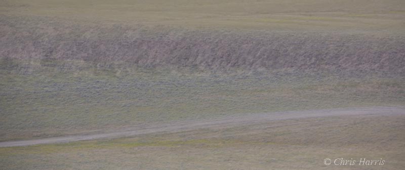 Canada, British Columbia,