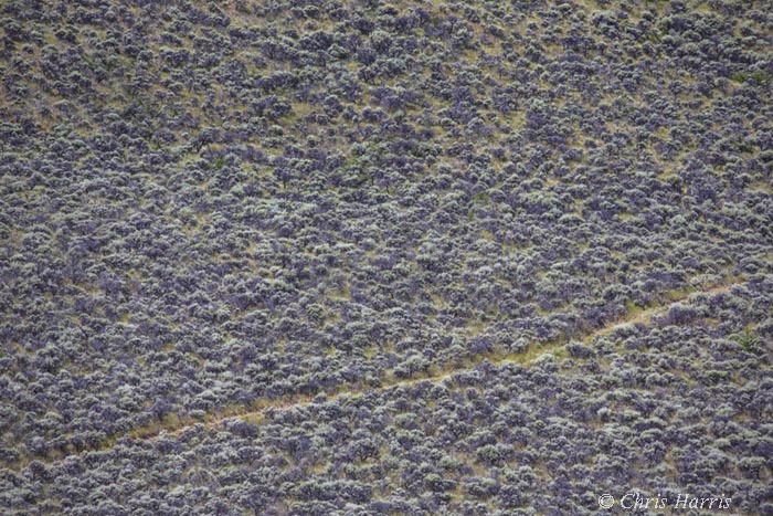 Canada, British Columbia,