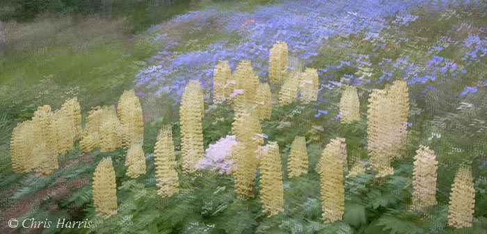 Canada, British Columbia,