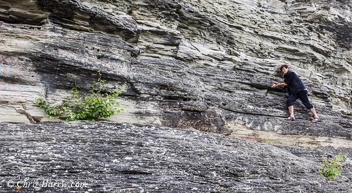 Canada, British Columbia, Peace River bank, Site-C Dam proposed area,