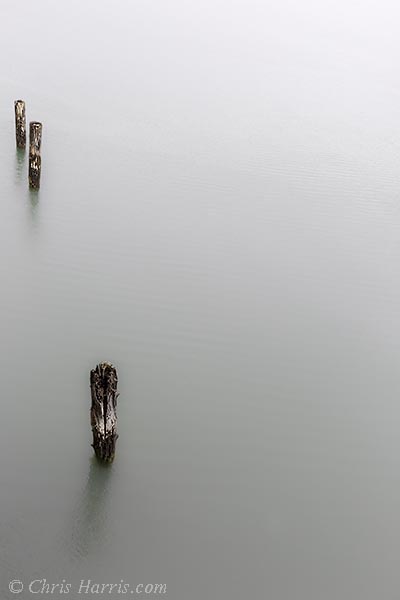 Canada, British Columbia, Bella Coola, Tallheo Cannery, abandonned salmon cannery, wharf, cemtral coast,