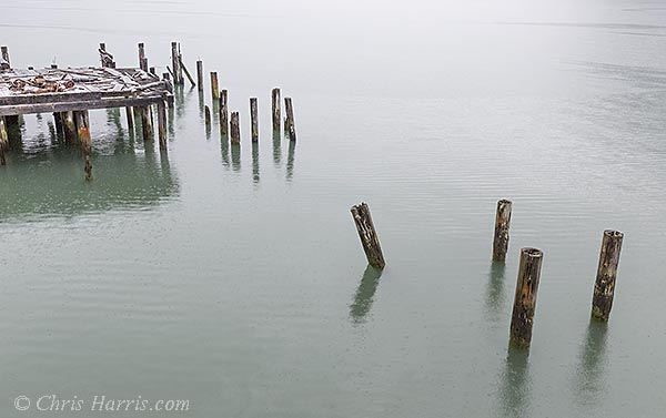 Canada, British Columbia, Bella Coola, Tallheo Cannery, abandonned salmon cannery, wharf, central coast,