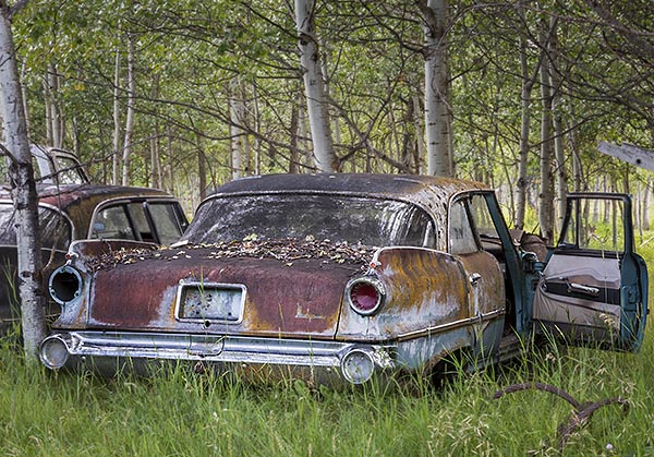 Canada, British Columbia, Cariboo region, abstract,