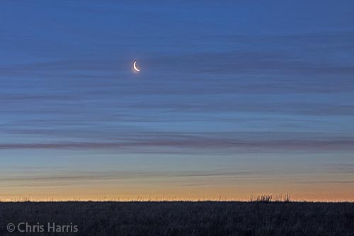 British Columbia, Canada, BC Grasslands, cresent moon, sunrise,