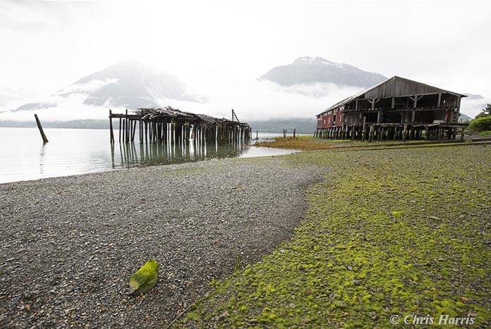 Canada, British Columbia, Bella Coola, Tallheo Cannery, abandonned salmon cannery,
